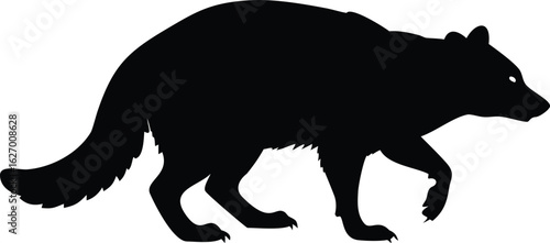 Sleek black wolverine silhouette confidently walks forward, showcasing its strong body and sharp claws