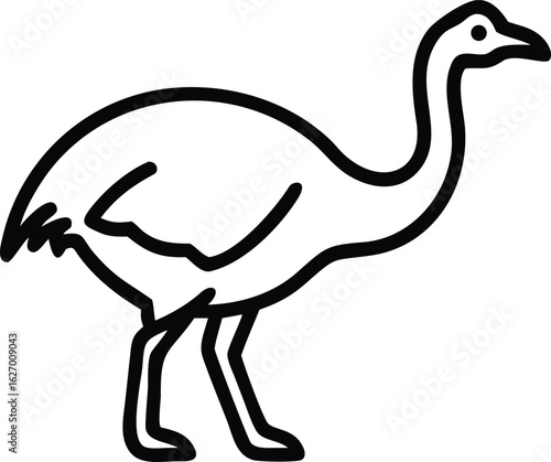 Outline drawing shows an ostrich on a white backdrop, ready to walk