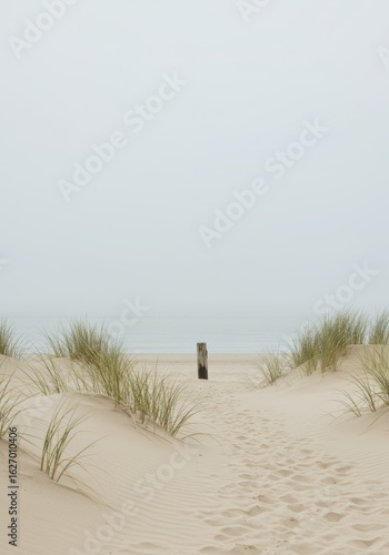Sandy dunes and weathered post overlooking a misty shoreline.