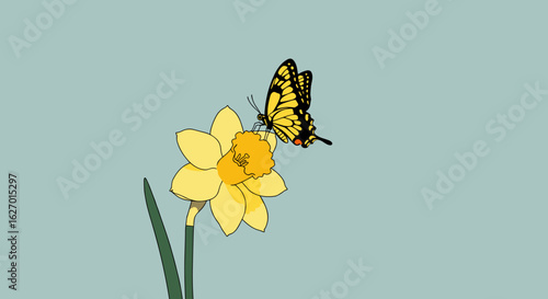 Butterfly on yellow daffodil against light blue background. Vector illustration