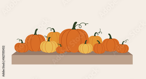 Autumn harvest: a variety of pumpkins and gourds on display. Vector illustration