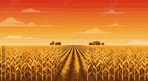 Golden cornfield landscape at sunset with farmhouses and clouds. Vector illustration