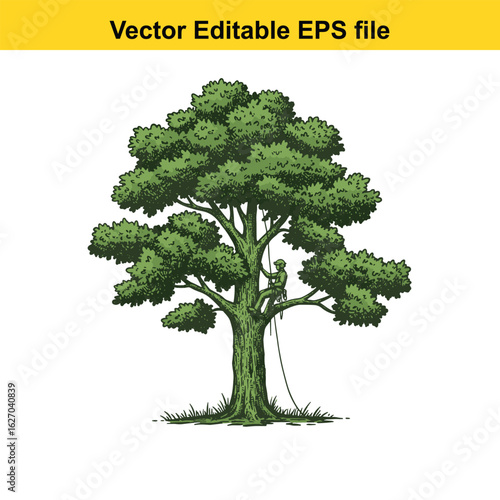 Vector art of arborist climbing a large tree for pruning, isolated on white background