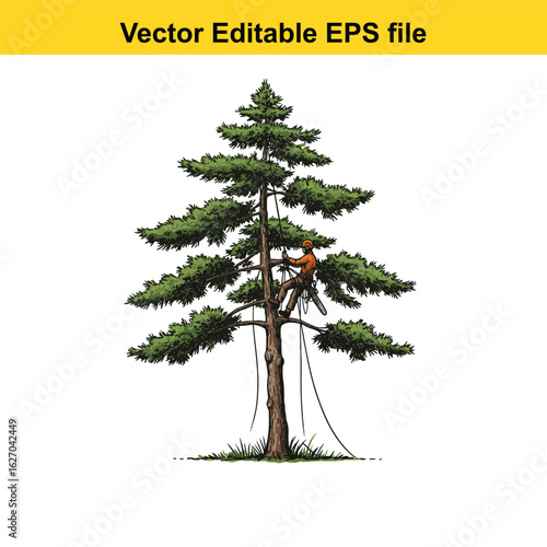Vector art of arborist pruning a tall pine tree with ropes and saw 