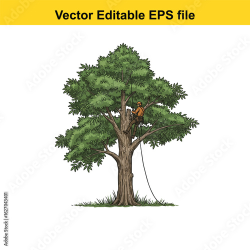 Vector art of arborist working on a tree isolated on white background 