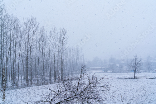 A timeless glimpse into rural life in a mountainous region.

