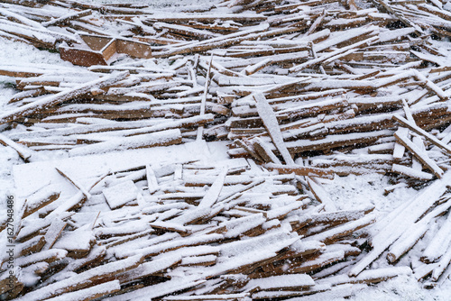 Bare Trees in a Snowy Field