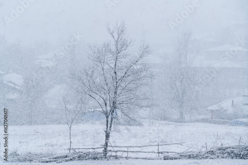 A Pile of Wood Debris and Tree in the Snow