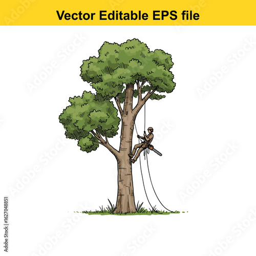 Vector art of arborist ascending a tree using ropes and safety harness, isolated on white background long horn, , long horn
