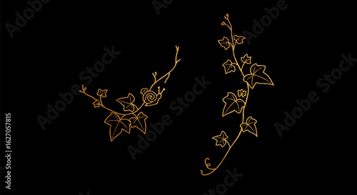 Gold outline illustration of stylized ivy vines against a black background.