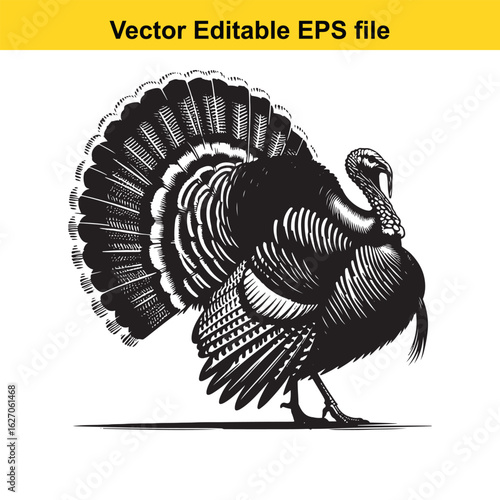 Vector art of black and white illustration of a turkey displaying its tail feathers long horn, , long horn