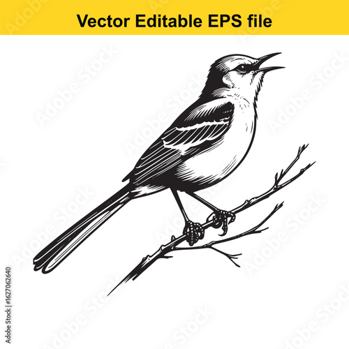 Vector art of bird perched on a branch isolated on white background long horn, , long horn
