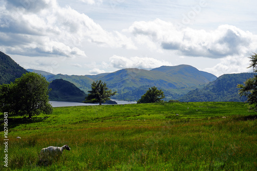 Wallpaper Mural Gowbarrow Park Torontodigital.ca
