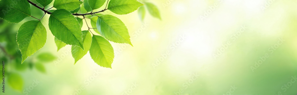 Bright green watercolor leaves arranged on branch create fresh, modern eco-friendly design. Natural light illuminates vibrant foliage, suggesting growth, vitality. Image evokes feelings of nature, Bright green watercolor leaves arranged on branch create fresh, modern eco-friendly design. Natural light illuminates vibrant foliage, suggesting growth, vitality. Image evokes feelings of nature,