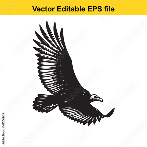 Vector art of vulture bird in flight isolated on white background long horn, , long horn