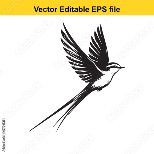 Vector art of bird with long tail flying isolated on white background long horn, , long horn