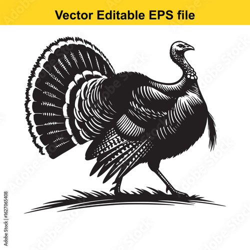 Vector art of black and white turkey illustration isolated on white background long horn, , long horn