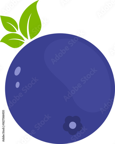 Blueberry with green leaves on white background, vector illustration
