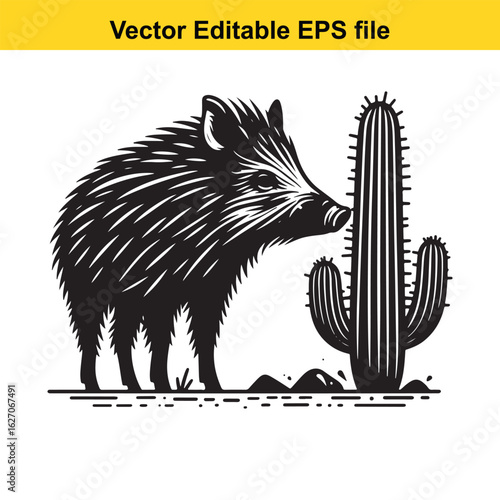 Vector art of wild boar and cactus isolated on white background long horn, , long horn