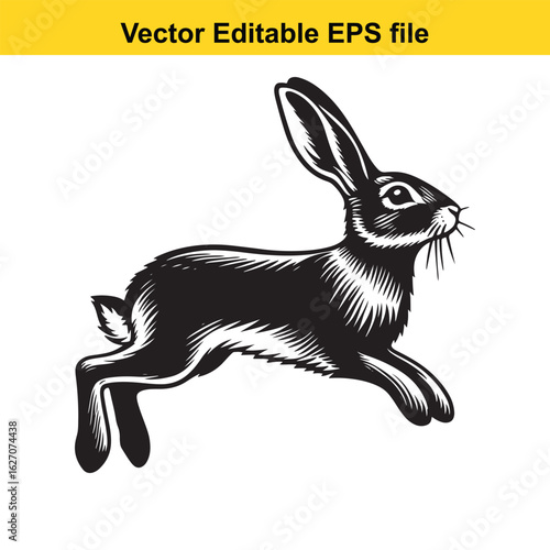 Vector art of black and white illustration of a running rabbit isolated on white background long horn, , long horn