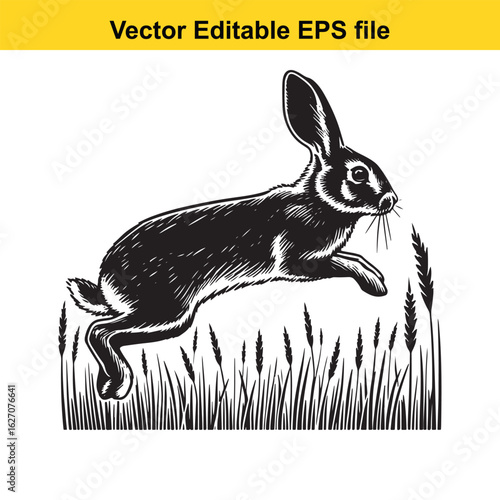 Vector art of black silhouette of a running hare in grass, isolated on white background long horn, , long horn