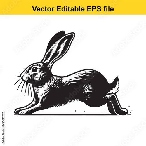 Vector art of black and white hare in motion isolated on white background long horn, , long horn