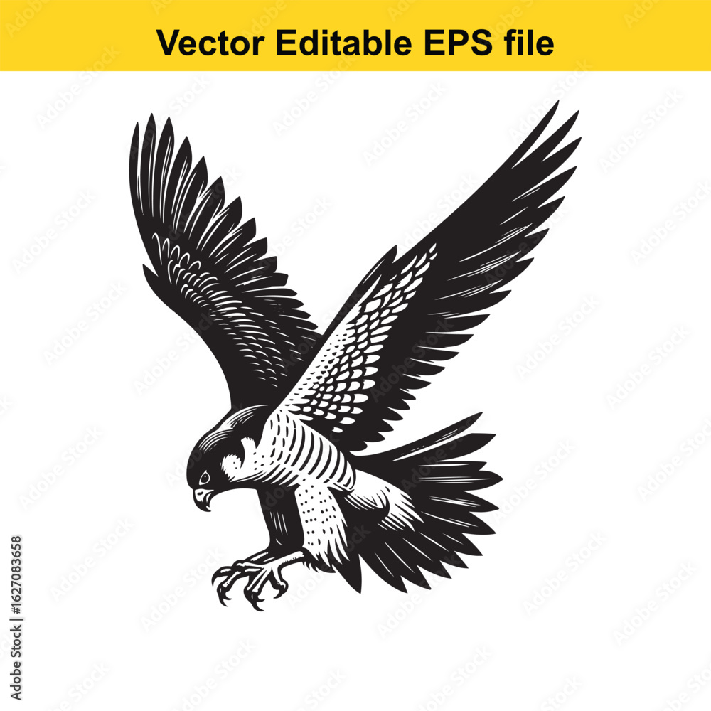 Obraz premium Vector art of detailed vector drawing of a falcon with open wings, isolated on white background long horn, , long horn