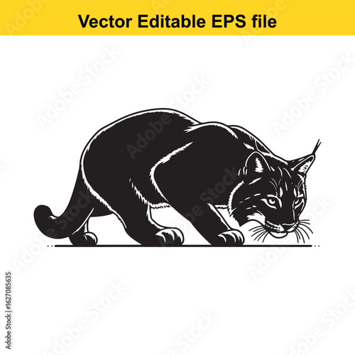 Vector art of lynx cat stalking low to the ground, isolated on white background long horn, , long horn