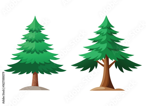 pine tree isolated on white