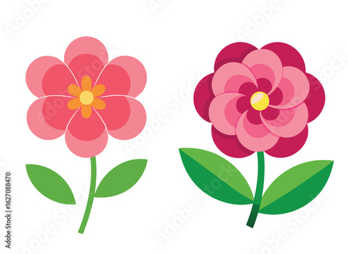 pink flower isolated on white background