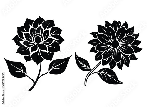 set of flowers vector