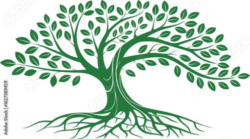 Green tree with roots and leaves nature