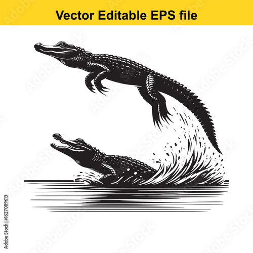 Vector art of two alligators in water, one jumping out isolated on white background long horn, , long horn