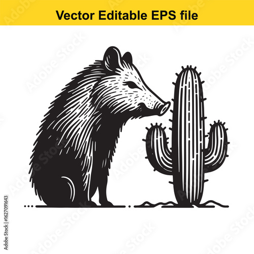 Vector art of javelina and cactus in the desert, isolated on white background long horn, , long horn