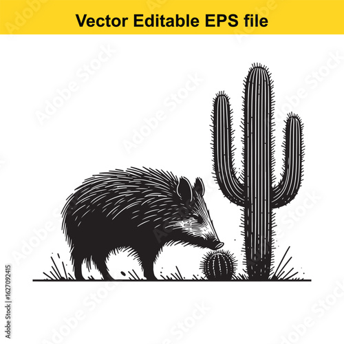 Vector art of peccary foraging near a cactus in the desert isolated on white background long horn, , long horn