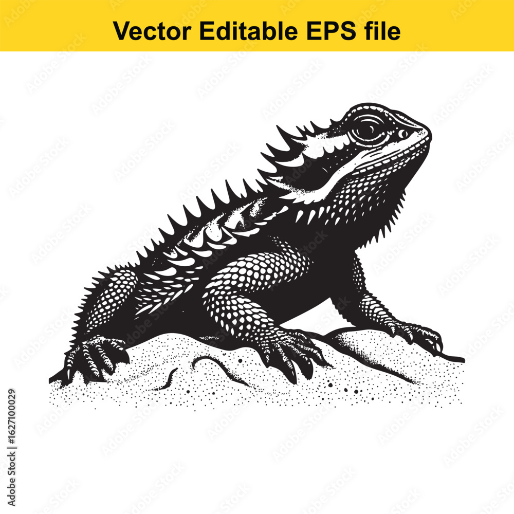 Obraz premium Vector art of bearded dragon lizard isolated on white background long horn, , long horn