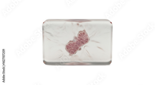 Meat Encased in a Transparent Ice Cube Block on a White Background for Food Preservation and Ingredient Storage