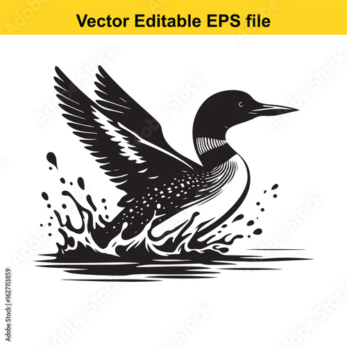 Vector art of black and white loon bird in water isolated on white background long horn, , long horn