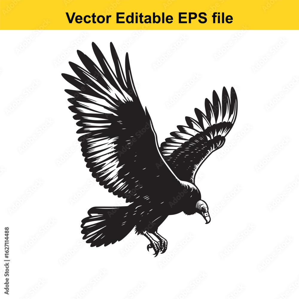 Fototapeta premium Vector art of vulture bird in flight, isolated on white background long horn, , long horn