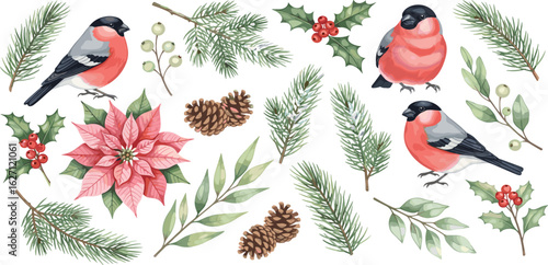Christmas watercolor big set of bullfinches, flower poinsettia, berries, leaves and branches, isolated design elements for your greeting or invitation cards,