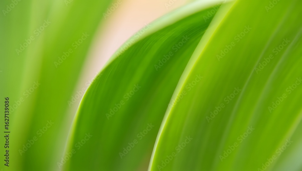 Abstract Green Plant Leaves Background with Freshness and Natural Beauty close up photography for botanical and environmental themes Abstract Green Plant Leaves Background with Freshness and Natural Beauty close up photography for botanical and environmental themes