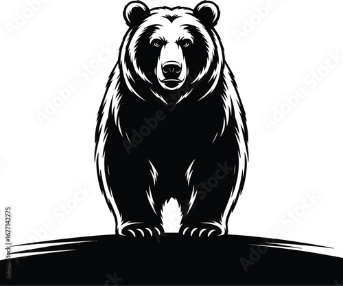 Powerful bear standing on ground grizzly bear animal