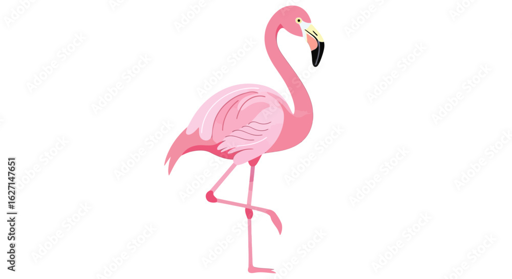Fototapeta premium Pink Flamingo Standing Vector Illustration 