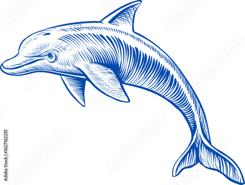 Jumping Dolphin hand drawing vector. Tribal dolphin jumping isolated on white background. dolphin jumping in ocean in hand drawn outline sketch style