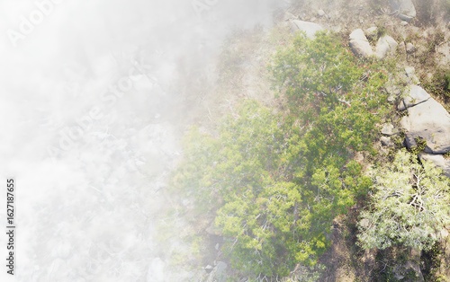 Wallpaper Mural Mist shrouds trees and rocky landscape Torontodigital.ca