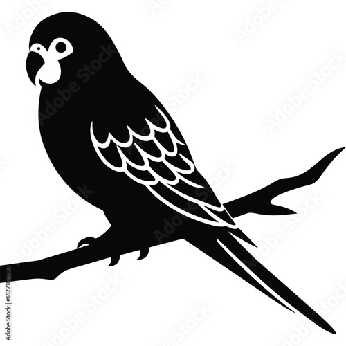 Black silhouette of a parrot perched on a branch bird white