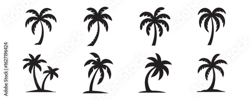 Simple palm tree vector silhouettes set, tropical design elements on transparent background