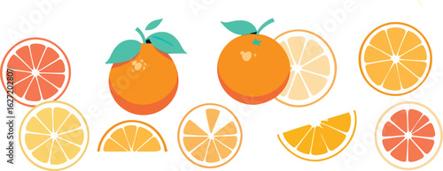 vector illustration of an orange fruit