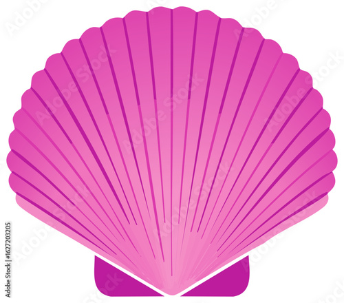 Vibrant pink scallop shell vector illustration isolated marine mollusk ocean life graphic element