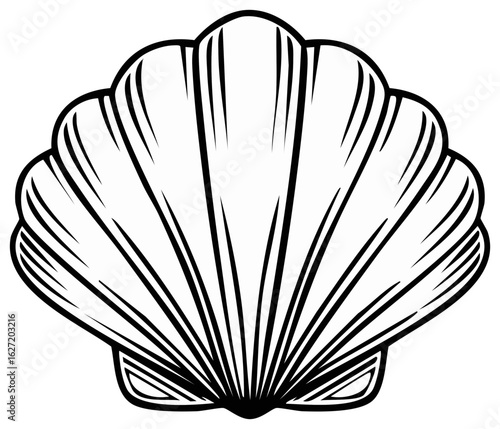 Detailed Seashell Illustration Black and White Minimalist Design
